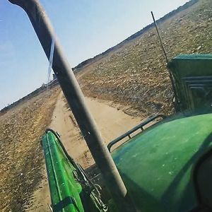 Meet your Posher, Dalton